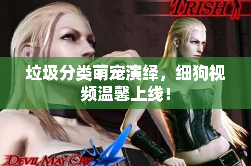 垃圾分类萌宠演绎，细狗视频温馨上线！