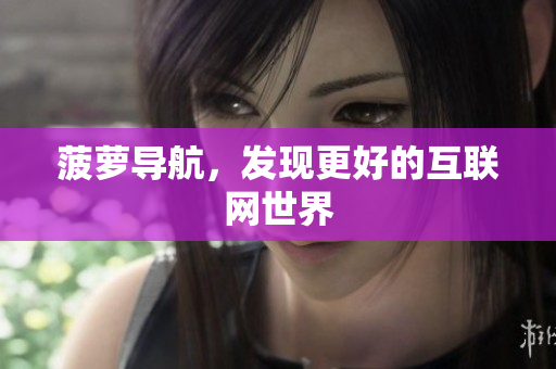菠萝导航，发现更好的互联网世界