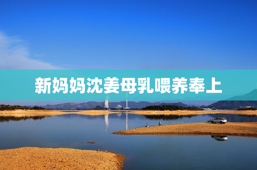 新妈妈沈姜母乳喂养奉上