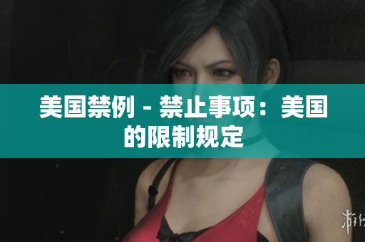 美国禁例 - 禁止事项：美国的限制规定
