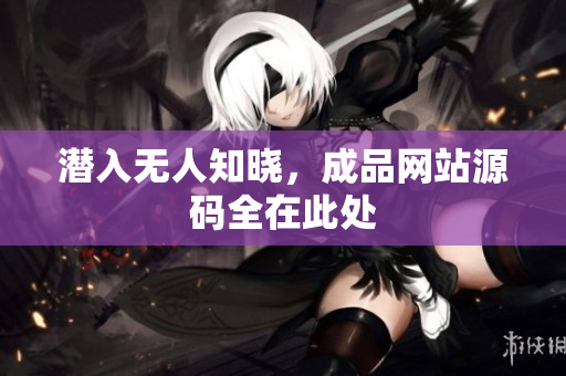 潜入无人知晓，成品网站源码全在此处