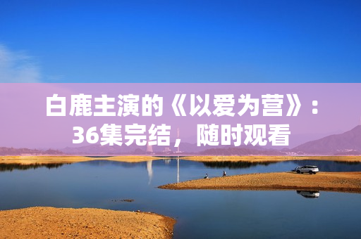 白鹿主演的《以爱为营》：36集完结，随时观看
