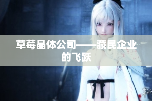 草莓晶体公司——藏民企业的飞跃