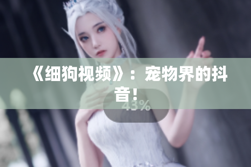 《细狗视频》：宠物界的抖音！