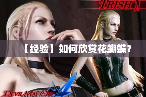 【经验】如何欣赏花蝴蝶？