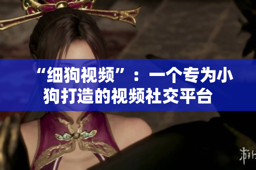 “细狗视频”：一个专为小狗打造的视频社交平台