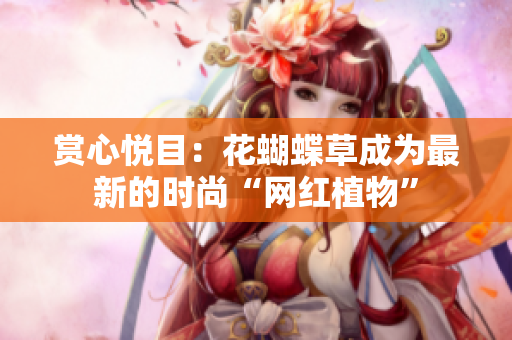 赏心悦目：花蝴蝶草成为最新的时尚“网红植物”