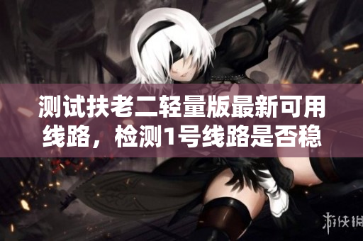 测试扶老二轻量版最新可用线路，检测1号线路是否稳定