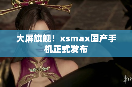 大屏旗舰！xsmax国产手机正式发布