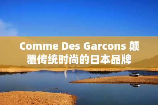 Comme Des Garcons 颠覆传统时尚的日本品牌