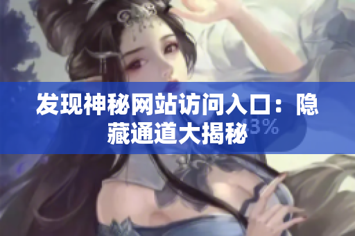 发现神秘网站访问入口：隐藏通道大揭秘