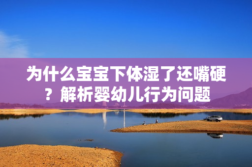 为什么宝宝下体湿了还嘴硬？解析婴幼儿行为问题