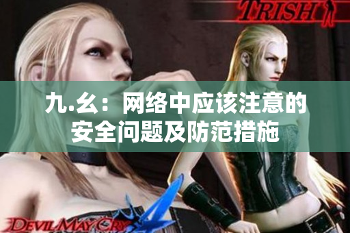 九.幺：网络中应该注意的安全问题及防范措施