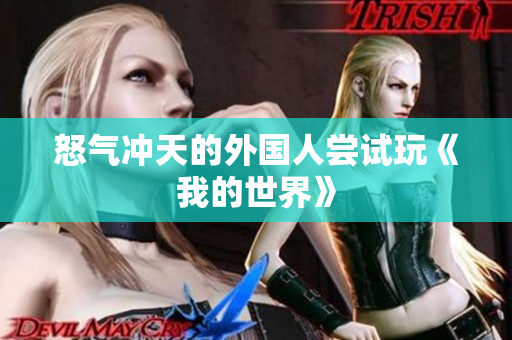 怒气冲天的外国人尝试玩《我的世界》