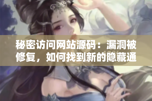 秘密访问网站源码：漏洞被修复，如何找到新的隐藏通道？