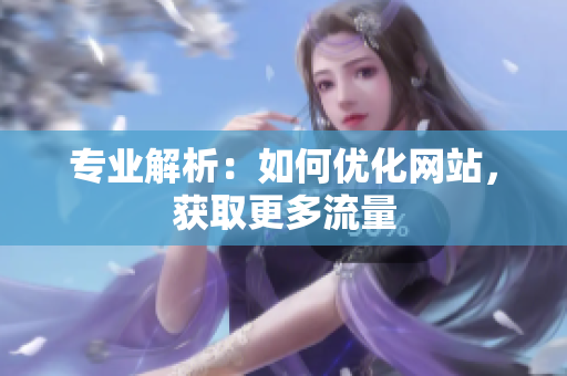 专业解析：如何优化网站，获取更多流量