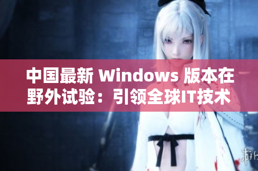 中国最新 Windows 版本在野外试验：引领全球IT技术更新