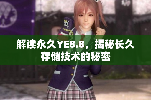 解读永久YE8.8，揭秘长久存储技术的秘密