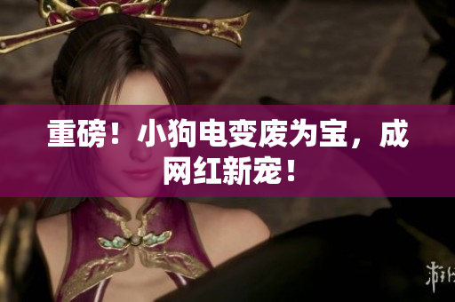 重磅！小狗电变废为宝，成网红新宠！