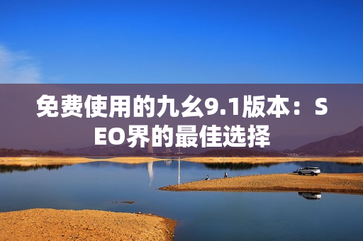 免费使用的九幺9.1版本：SEO界的最佳选择