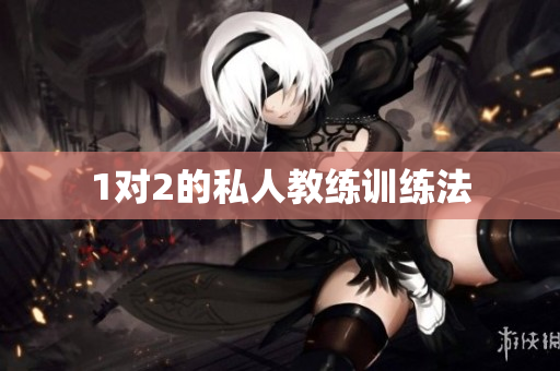 1对2的私人教练训练法