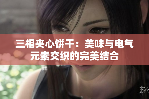 三相夹心饼干：美味与电气元素交织的完美结合
