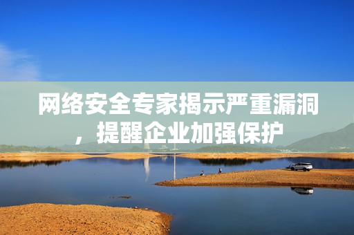 网络安全专家揭示严重漏洞，提醒企业加强保护