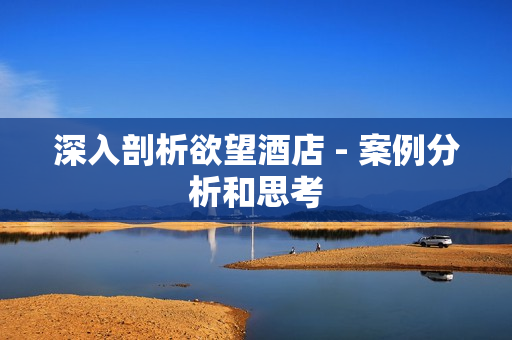 深入剖析欲望酒店 - 案例分析和思考