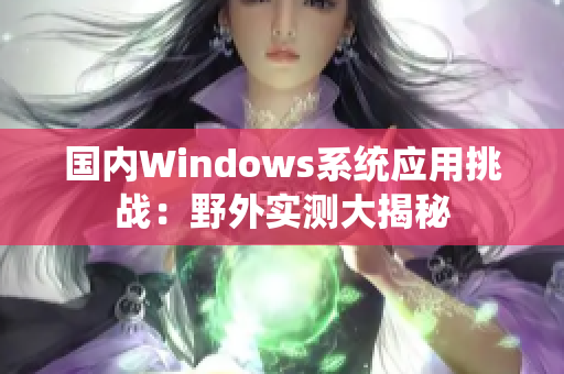 国内Windows系统应用挑战：野外实测大揭秘