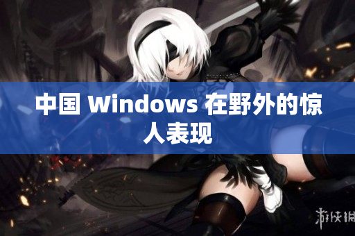 中国 Windows 在野外的惊人表现