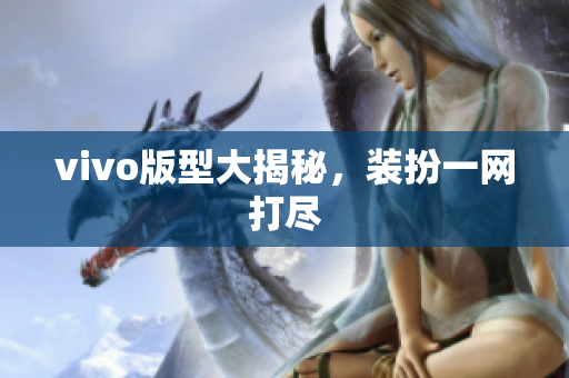 vivo版型大揭秘，装扮一网打尽