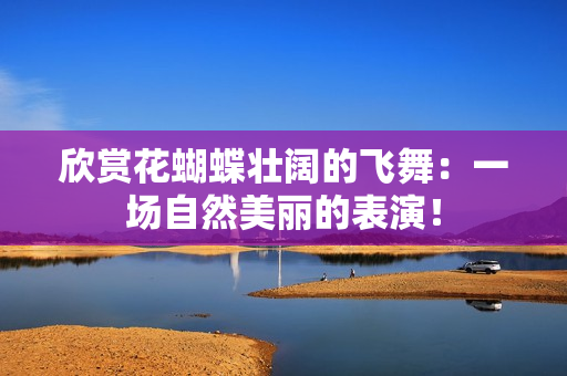 欣赏花蝴蝶壮阔的飞舞：一场自然美丽的表演！