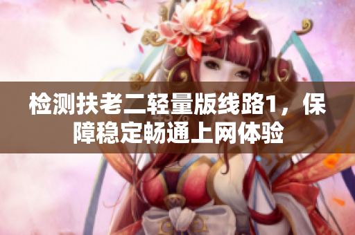 检测扶老二轻量版线路1，保障稳定畅通上网体验