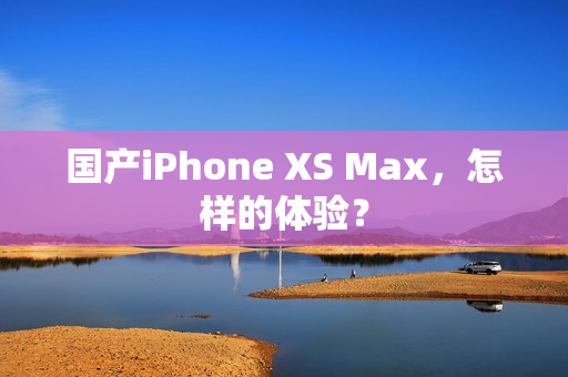 国产iPhone XS Max，怎样的体验？