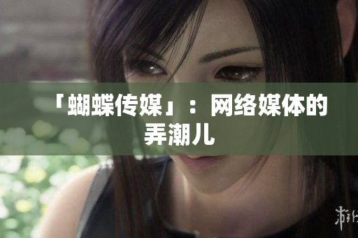 「蝴蝶传媒」：网络媒体的弄潮儿