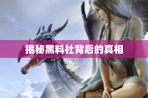 揭秘黑料社背后的真相