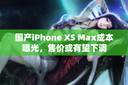 国产iPhone XS Max成本曝光，售价或有望下调