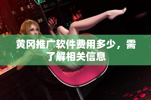黄冈推广软件费用多少，需了解相关信息