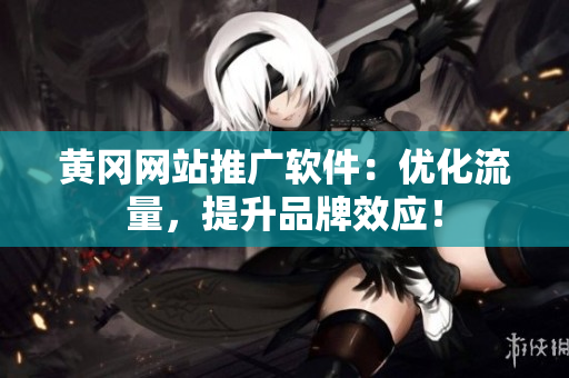 黄冈网站推广软件：优化流量，提升品牌效应！