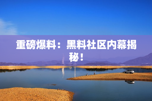 重磅爆料：黑料社区内幕揭秘！