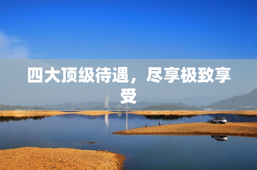 四大顶级待遇，尽享极致享受