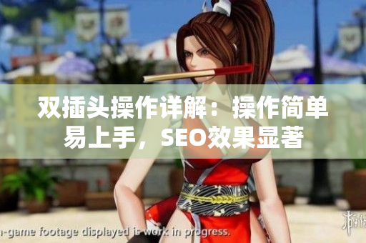 双插头操作详解：操作简单易上手，SEO效果显著