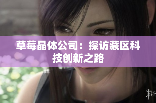 草莓晶体公司：探访藏区科技创新之路