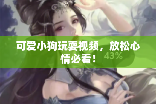 可爱小狗玩耍视频，放松心情必看！