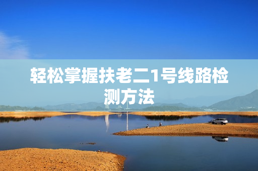 轻松掌握扶老二1号线路检测方法