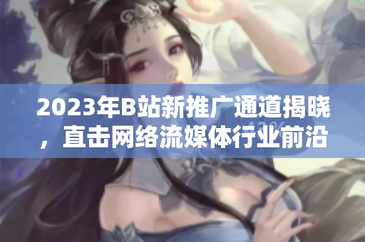 2023年B站新推广通道揭晓，直击网络流媒体行业前沿