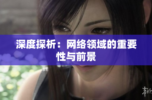深度探析：网络领域的重要性与前景