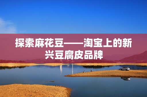探索麻花豆——淘宝上的新兴豆腐皮品牌