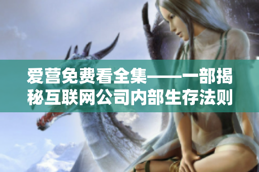 爱营免费看全集——一部揭秘互联网公司内部生存法则的剧集