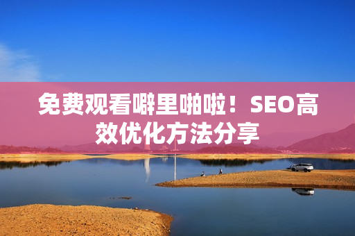 免费观看噼里啪啦！SEO高效优化方法分享